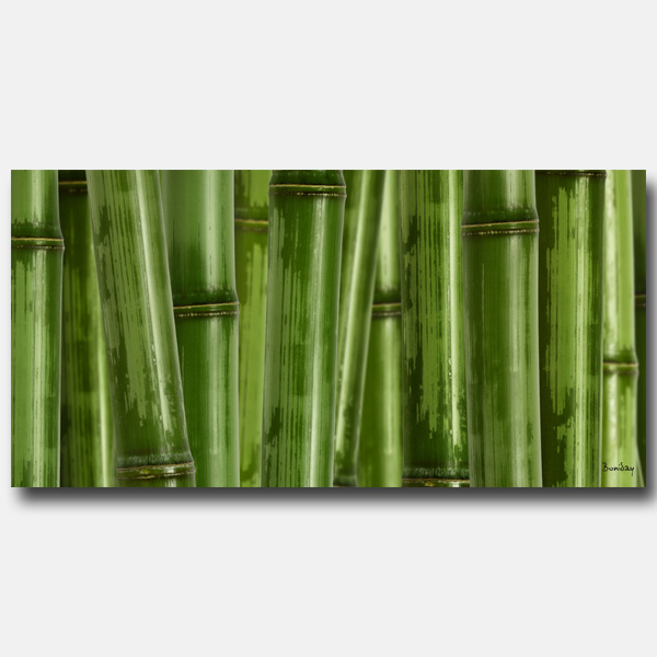 bambou Tablea10