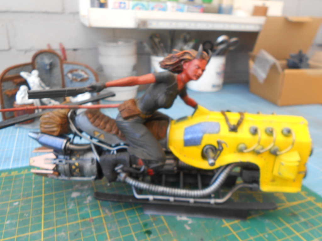 Ash sur Hoverbike 1/10 de ritual casting Dsc10610