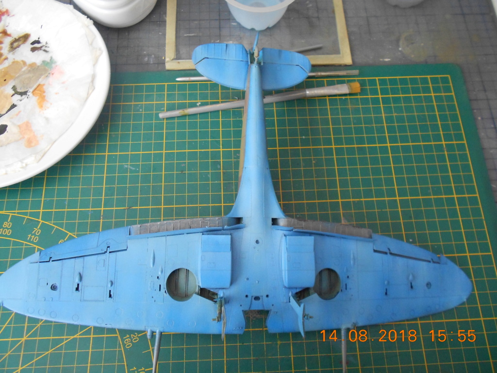 supermarine spitfire mk VIII 1/32 tamiya - Page 2 Dscn0178