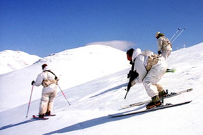 Armée Israélienne / Israel Defense Forces (IDF) - Page 5 2675410