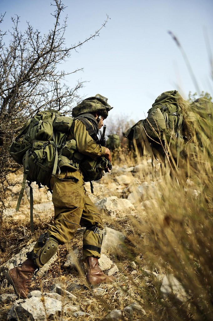 Armée Israélienne / Israel Defense Forces (IDF) - Page 7 51948310