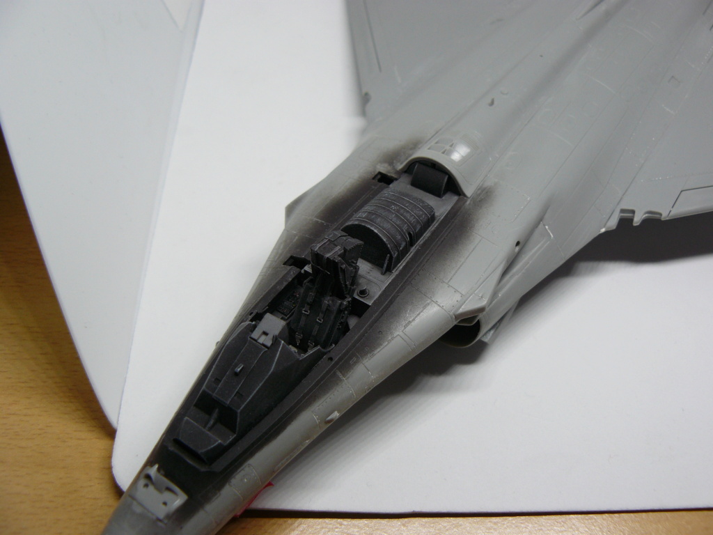 Rafale [Revell] 1/48 P1050620