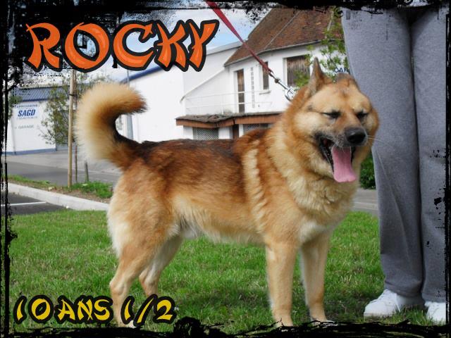 ROCKY -  x spitz - 10 ans - Refuge de Beauvais (60) 65128_10