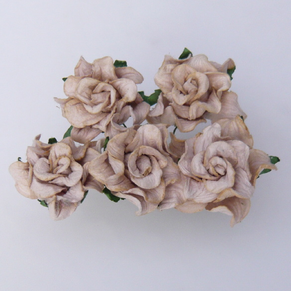 Fab New FLowers Fs-00012