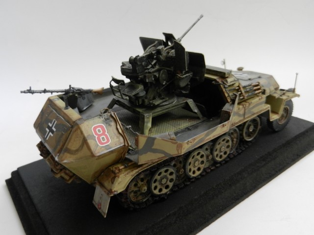 Semi-chenillé Sd.Kfz.251/17 Ausf.C "Herman Göring" Dscn0521