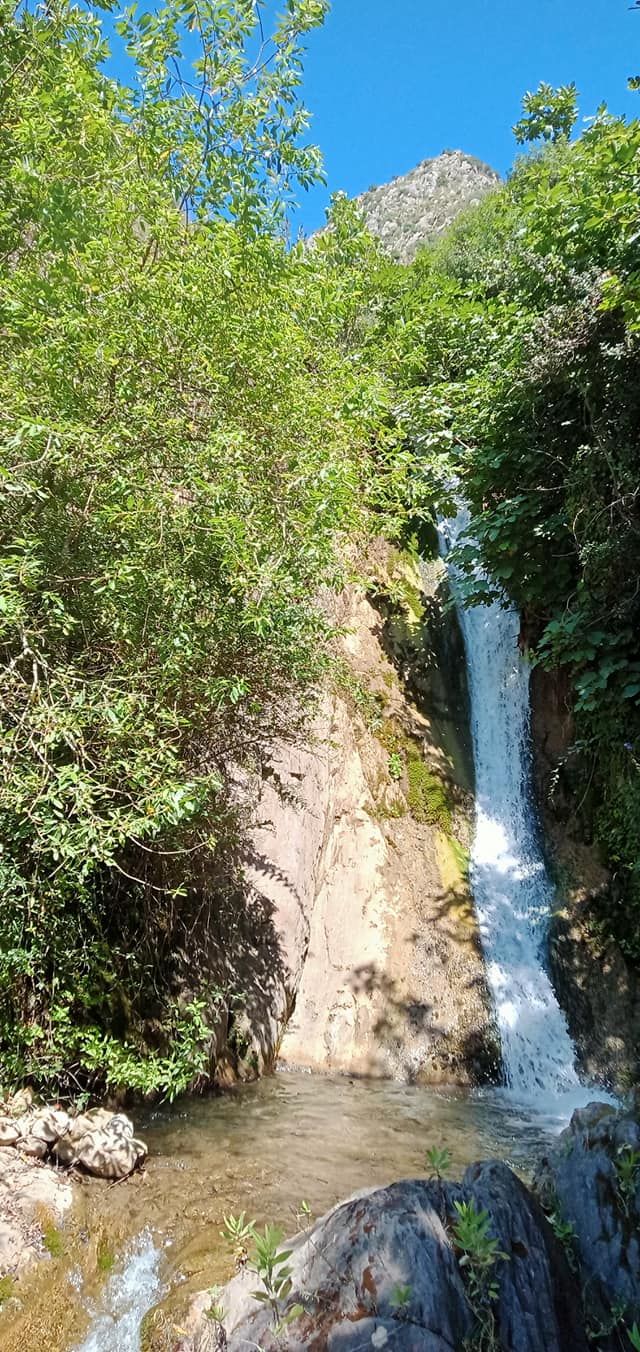 Les Bavares: randonnée pedestre sur les hauteurs de la sublime commune de Tizi N Berbére le samedi 17 juillet 2021 12498