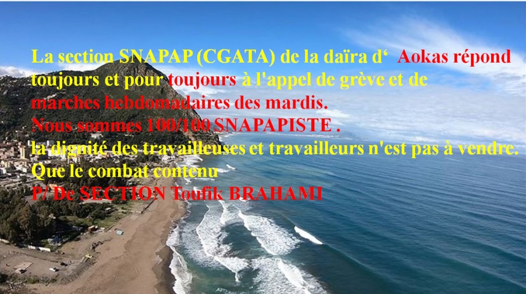  PROTESTATION DEVANT LE SIEGE DE LA DAIRA D'AOKAS LE JEUDI 06 FEVRIER 2020  - Page 2 2646