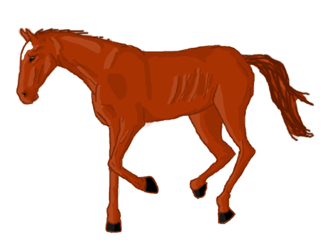 besoin d'une colo rapide : cheval roux Coloch10