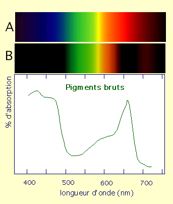 Algues : Quels spectres lumineux ? - Page 2 014bm-10