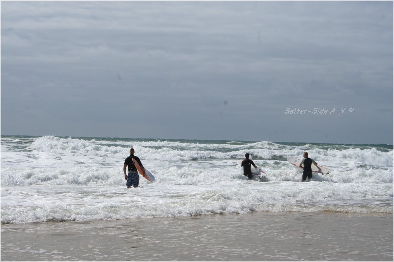 Ocean -Surfeur Img_8612