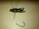 Insekter Reins P1724_10