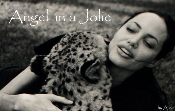 All about Angelina Jolie Namibi11