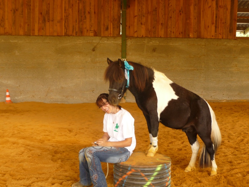 THEME 9: votre poneys et votre amitier P1050210