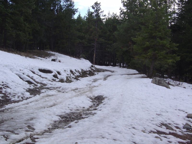 Campbell Mtn. March 2 Dsc04910