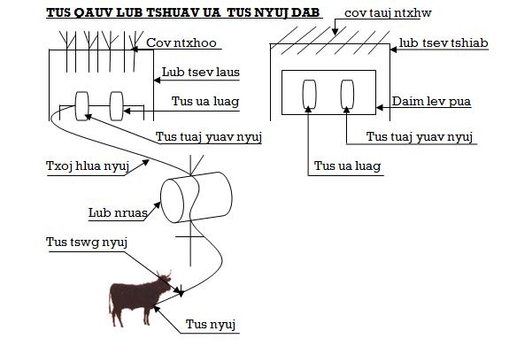 LIS CUAB PAS DEJ NTSUAB Liscua17