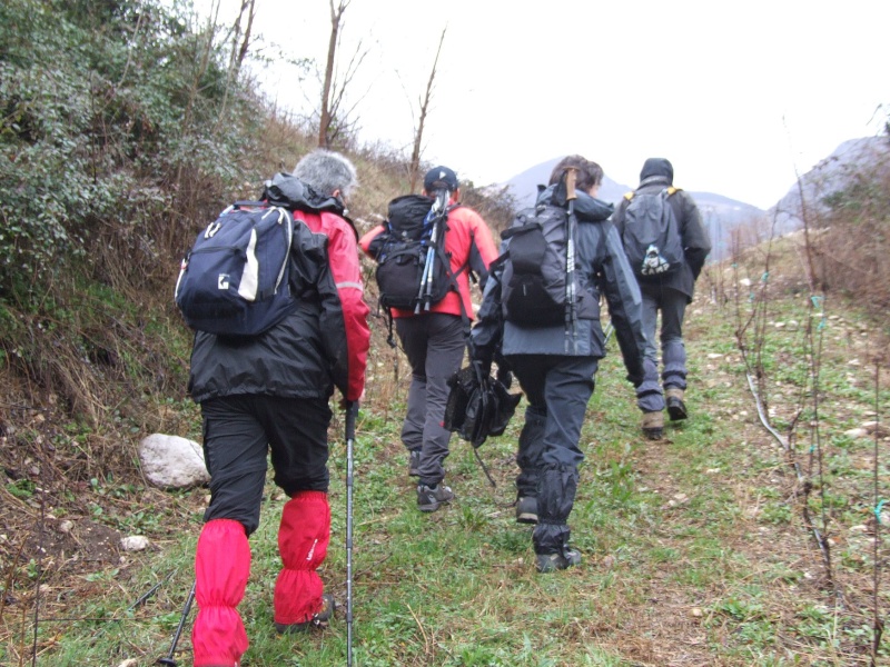 ESCURSIONE DEL 17/03/2011 da Brentino (187m) a Ferrara di Monte Baldo (849m)  00110