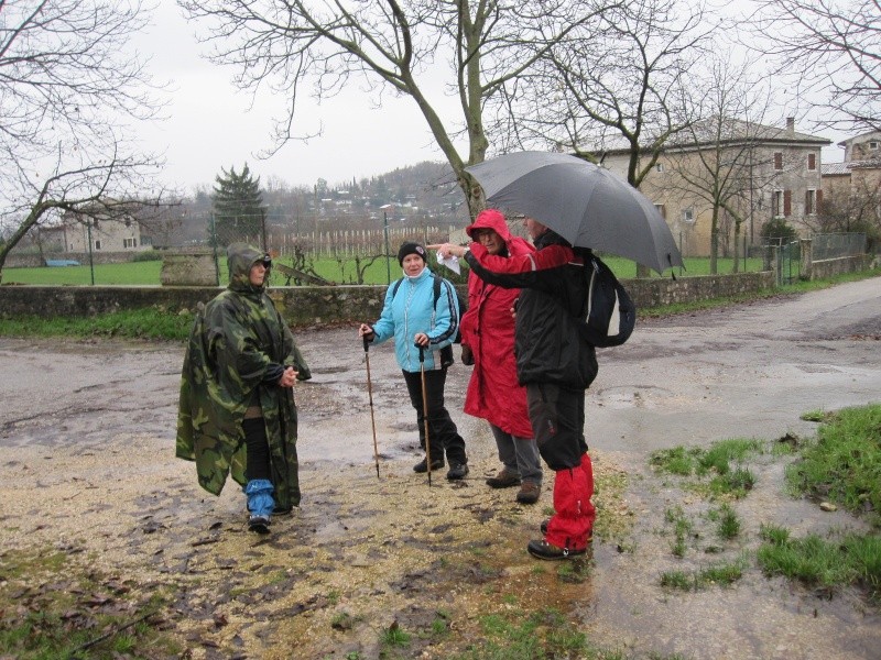 ESCURSIONE DEL 28/11/2010 Da Garda a Castion ed Albisano Da_gar10