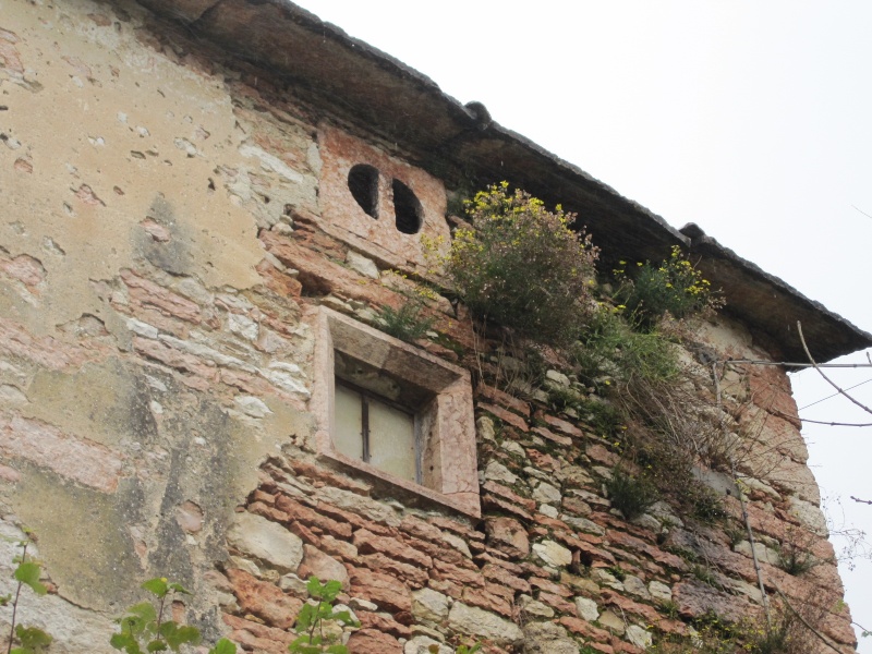 ESCURSIONE DEL 31/10/10 A SAN MAURO DI SALINE E LA 40^ SAGRA DEI MARRONI Da_san18