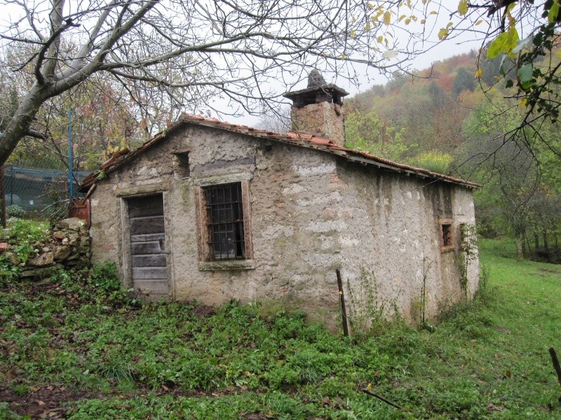 ESCURSIONE DEL 31/10/10 A SAN MAURO DI SALINE E LA 40^ SAGRA DEI MARRONI Da_san23