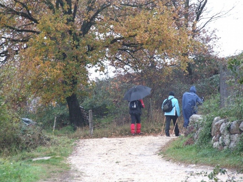 ESCURSIONE DEL 28/11/2010 Da Garda a Castion ed Albisano Dscf6212