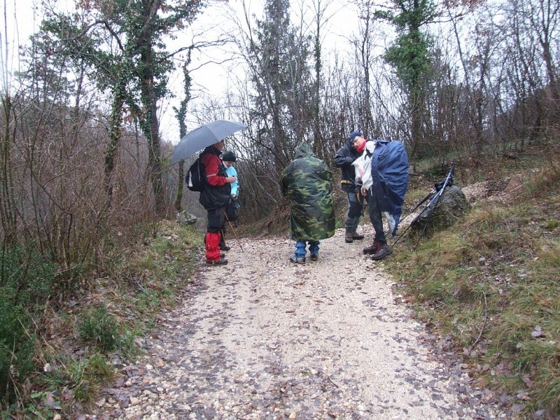 ESCURSIONE DEL 28/11/2010 Da Garda a Castion ed Albisano Dscf6216