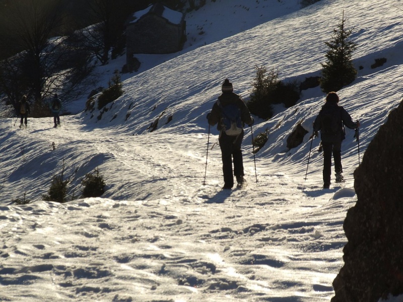 ESCURSIONE DEL 12/12/2010 ciaspolando in Lessinia da Scandole al Rifugio Bocca di Selva Dscf6328