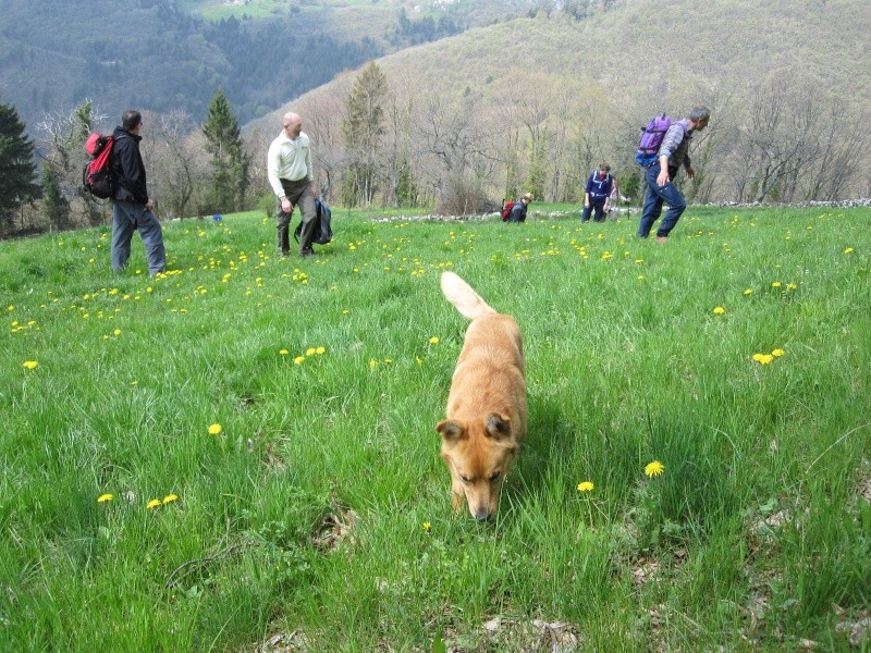 ESCURSIONE DEL 25/04/2010 NELLA ZONA DI ROVERE' IN LESSINIA DOVE SI INSEDIARONO ANTICAMENTE I CIMBRI Escurs21