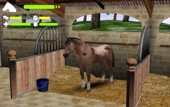 Jeu : Mission equitation Screen10