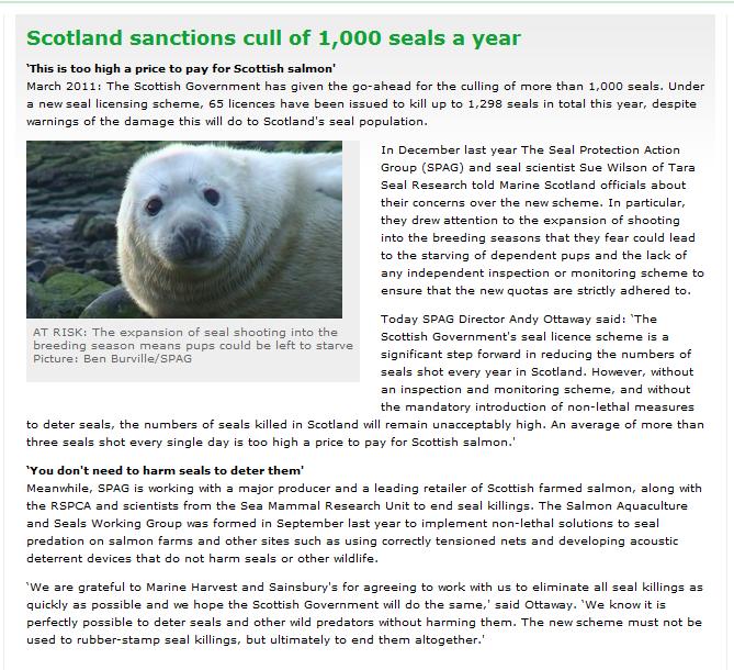 Scotland to Kill 1,000 Seals per year We91