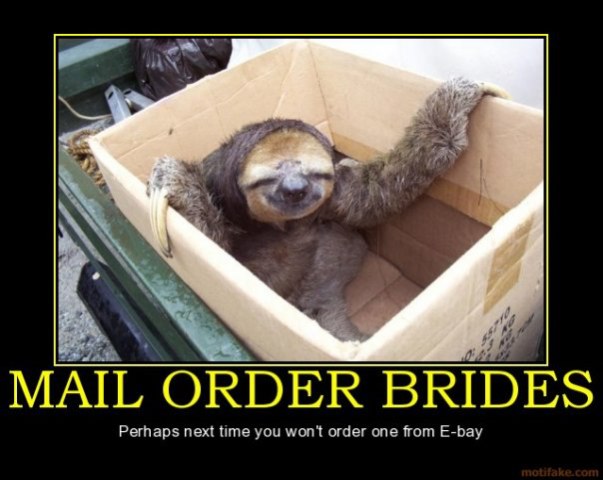 Mail Order Bride Odd10