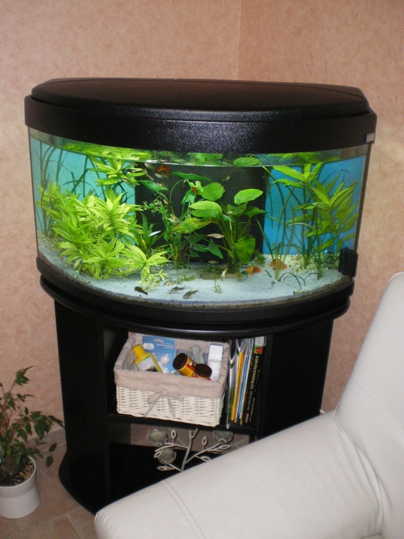 à vendre aquarium Aquari10