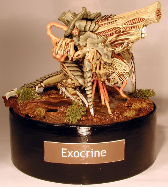 Tiranide esocrino Exocri12