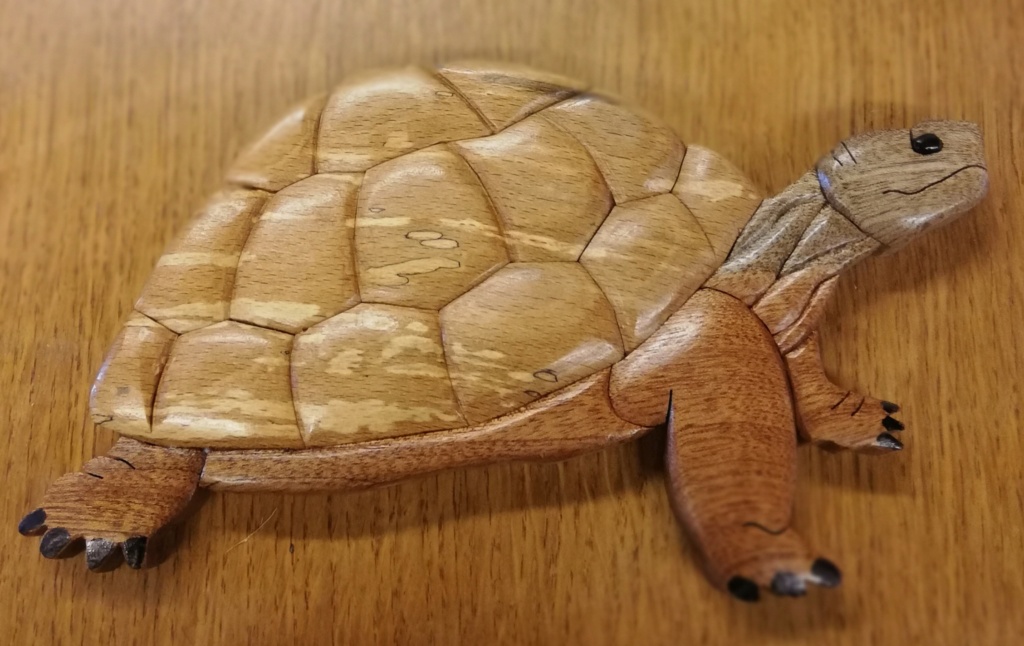 tableau d'une tortue en intarsia Img_2023