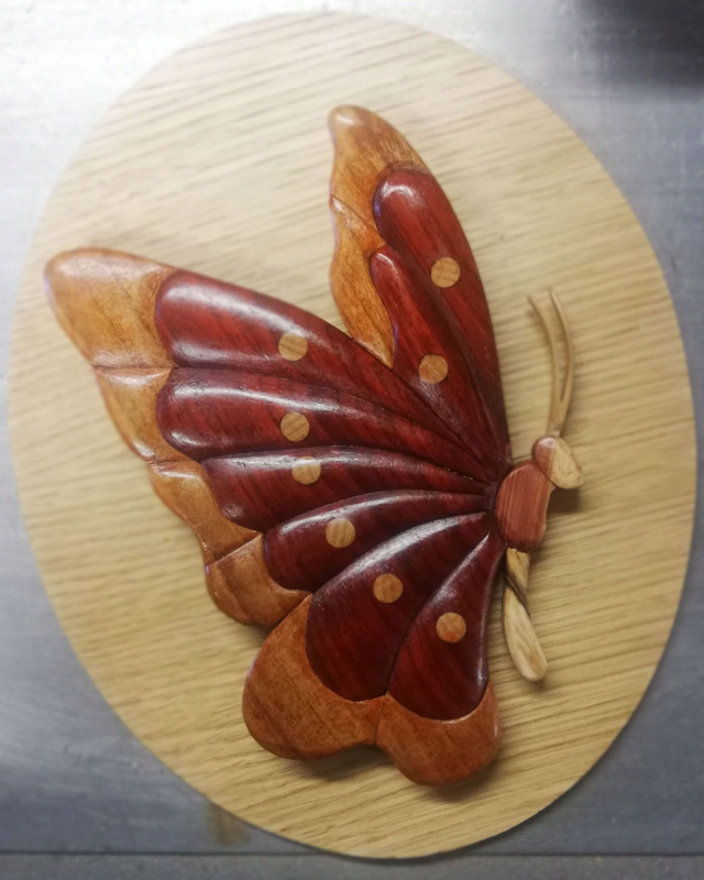 le papillon rouge en intarsia Papill14