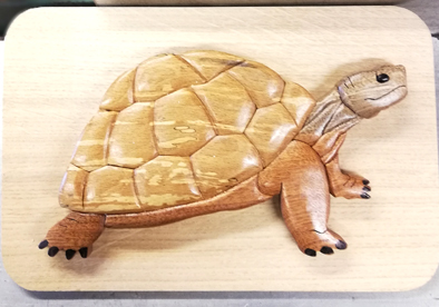 tableau d'une tortue en intarsia Tortue19