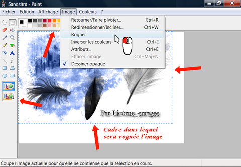 Tuto Recadrer Une Image Avec Paint