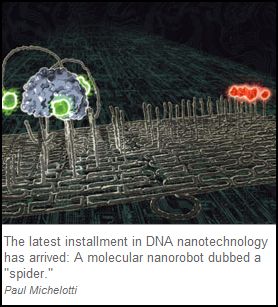 DNA 'Spiderbot' Crawls into Action Spider10