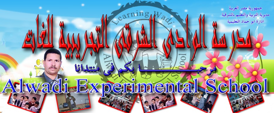 Alwadi Experimental School