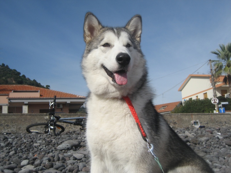 passeggiate sulla spiaggia, una delle attivita' preferite da Margot Margot12