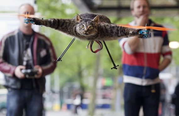 هل شاهدت من قبل قط يطير o.O ,,, شاب يصنع من قطه الذي فقده بطريقة مأساوية الى قط يطير شاهد بالصور | Guy Turned His Dead Cat Into A Helicopter 52834411