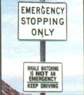 Funny Signs Pic04010