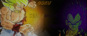 Dark Duelist Works Goku__11