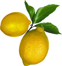 Meyvelerin Güzelliğe Faydaları Limon210