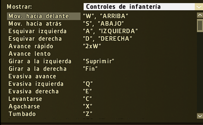 Configuracion mando para DayZ Infant10