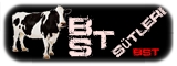 logo Bts11