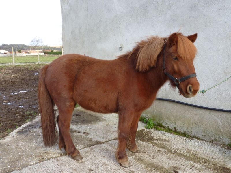 Taka ponette 1M10 adoptée par Damien et Sandrine 01112