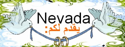 شرح كامل [التسجيل في العملاق MEGAUPLOAD لرفع الملفات] Nevada16