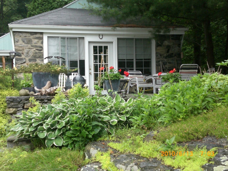 My Patio Garden  :) Garden48