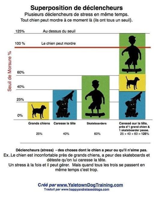 reactif - Morsure et pincements: conseils? - Page 14 Superp11