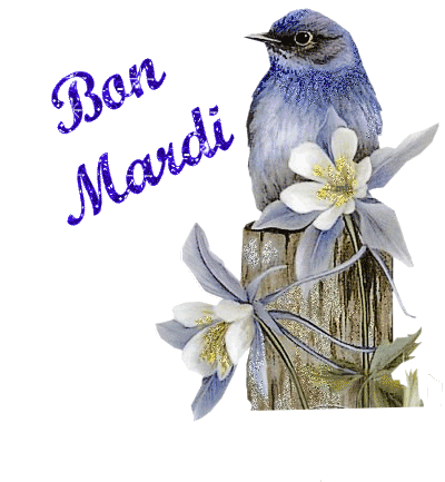 Salut les amis !!!! - Page 17 D86eaf10